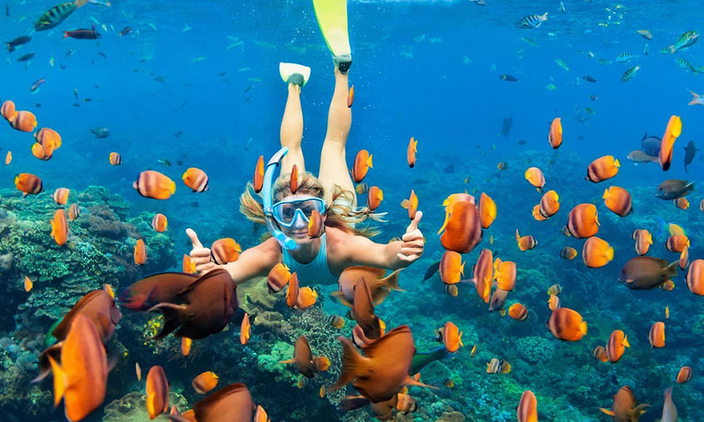 Penida---Snorkelling