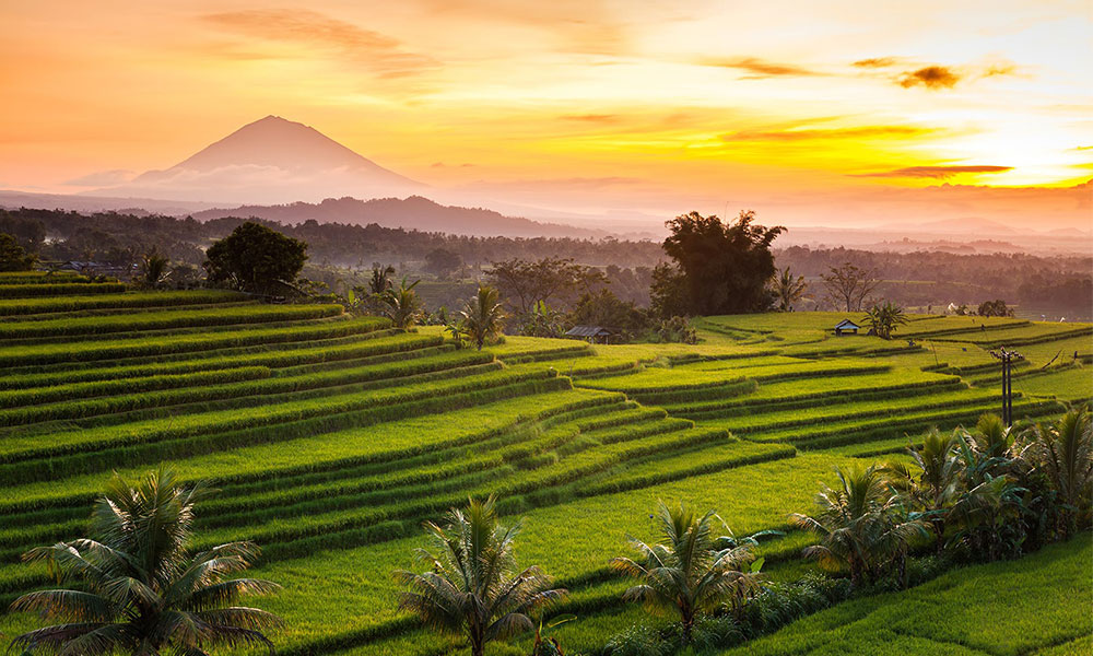 West-Bali---Jatiluwih